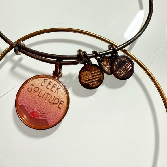 Alex and Ani Charm Bracelets - Set of 5 - Picture 7 of 12